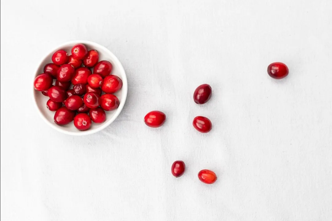 Cranberries in der Schwangerschaft