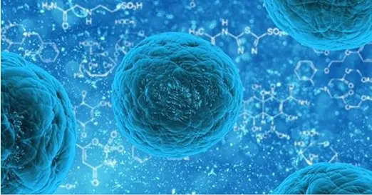 La multiplication des cellules souches du sang de cordon ombilical, un nouvel espoir pour les patients atteints de cancer