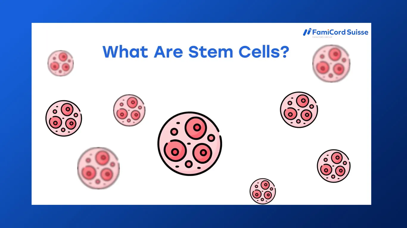 Thumbnail_StemCells